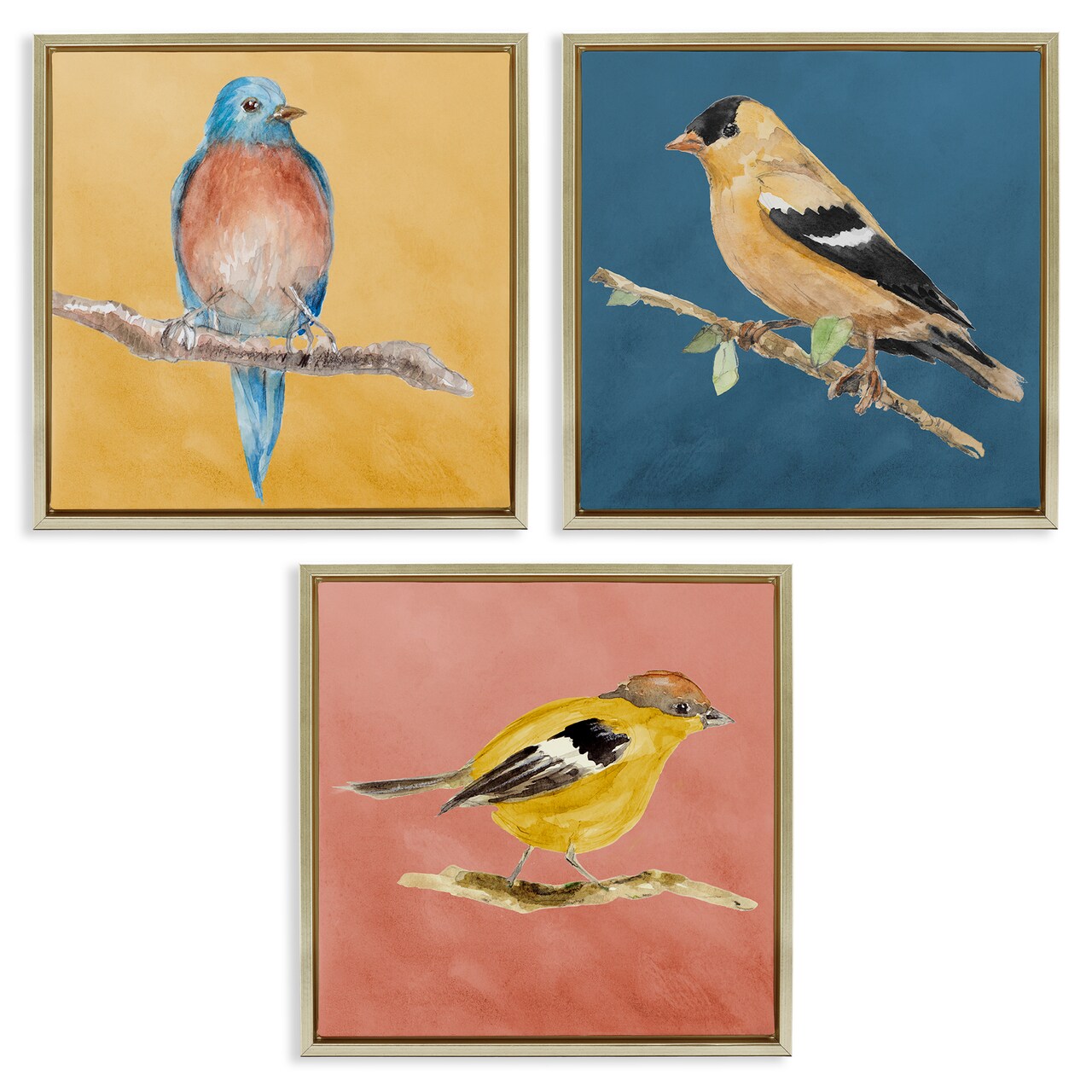 Stupell Industries Brilliant Birds on Branches 3 pc Framed Floater Canvas Wall Art Set Design by Lanie Loreth